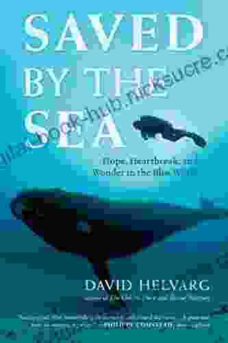 Saved By The Sea: Hope Heartbreak And Wonder In The Blue World