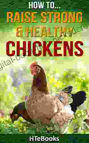 How To Raise Strong Healthy Chickens: Quick Start Guide ( How To Books)