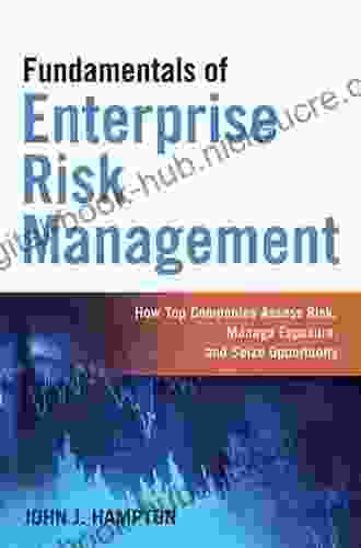 Fundamentals of Enterprise Risk Management: How Top Companies Assess Risk Manage Exposure and Seize Opportunity