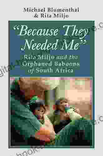 Because They Needed Me: Rita Miljo And The Orphaned Baboons Of South Africa