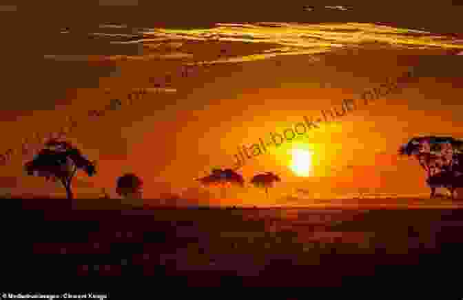 A Beautiful African Sunset Over A Savanna Footprints In The African Sand: My Life And Times