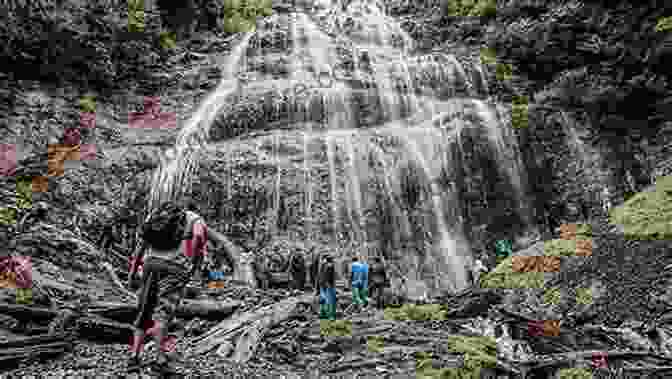 A Group Of Hikers Admiring A Majestic Waterfall, Surrounded By Untouched Forests The Carry Home: Lessons From The American Wilderness