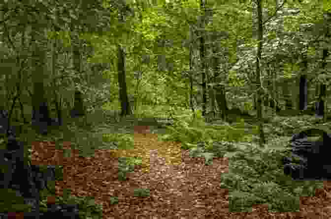 A Lush And Overgrown Garden With Towering Trees, Winding Paths, And Forgotten Plants. Garden Of The Lost And Abandoned: The Extraordinary Story Of One Ordinary Woman And The Children She Saves