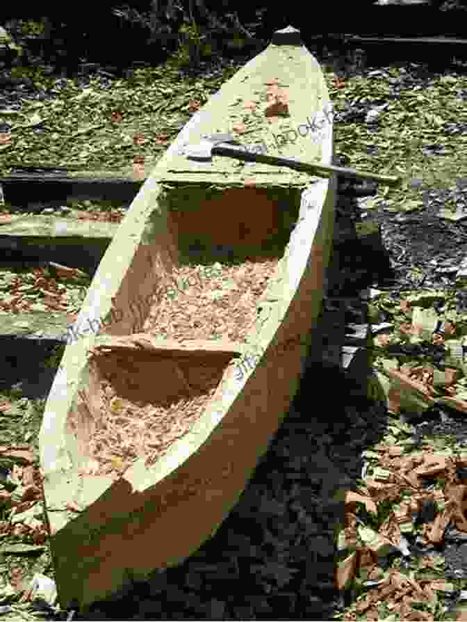 A Nisga'a Canoe, Carved From A Single Log, Floats On A River. Not My Fate: The Story Of A Nisga A Survivor