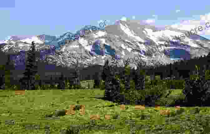 A Panoramic View Of Tuolumne Meadows, Showcasing The Towering Granite Peaks Of Cathedral Peak And Unicorn Peak, The Meandering Tuolumne River, And The Lush Subalpine Meadows. My First Summer In The Sierra: The Journal Of A Soul On Fire (Canons 26)