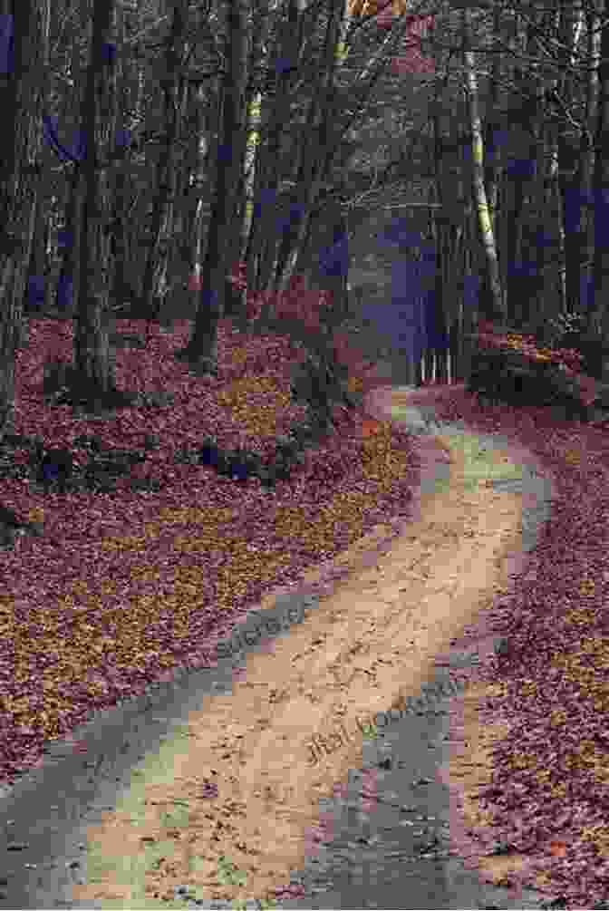 An Image Of A Path Winding Through A Lush Forest To Speak For The Trees: My Life S Journey From Ancient Celtic Wisdom To A Healing Vision Of The Forest