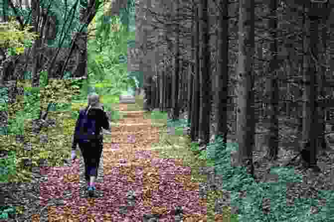 An Image Of A Woman Walking A Path Through A Forest To Speak For The Trees: My Life S Journey From Ancient Celtic Wisdom To A Healing Vision Of The Forest