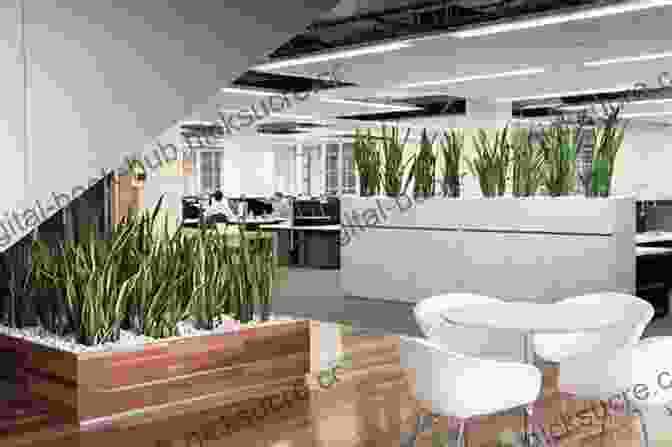 An Office Space With Plenty Of Indoor Plants Healthy Buildings: How Indoor Spaces Drive Performance And Productivity