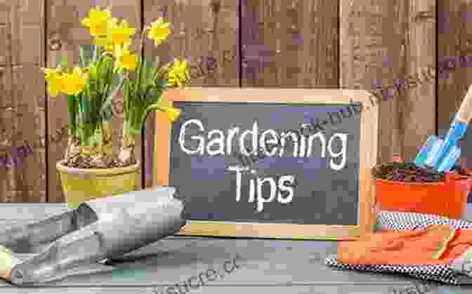 Expert Gardening Advice My Garden World: The Sunday Times