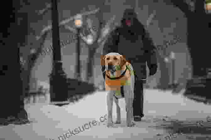 Guide Dog And Handler Walking Together In Park Through Gilly S Eyes: Memoirs Of A Guide Dog