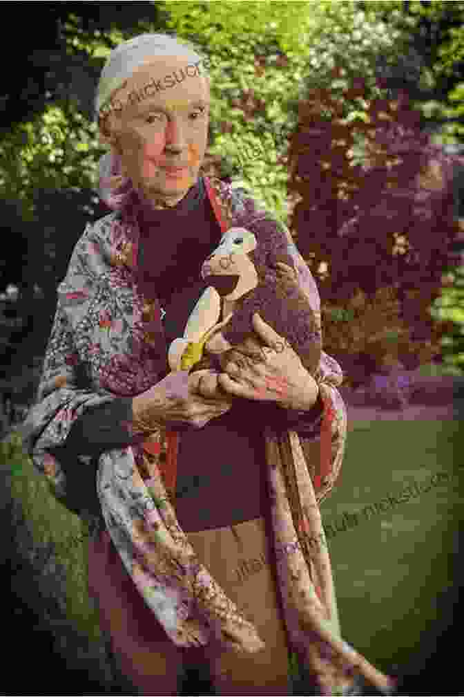 Jane Goodall, Primatologist And Anthropologist Visionary Women: How Rachel Carson Jane Jacobs Jane Goodall And Alice Waters Changed Our World