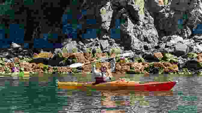 Kayakers Paddling Through The Scenic Kachemak Bay, With Towering Cliffs And Mountains In The Background Mudflats Fish Camps: 800 Miles Around Alaska S Cook Inlet