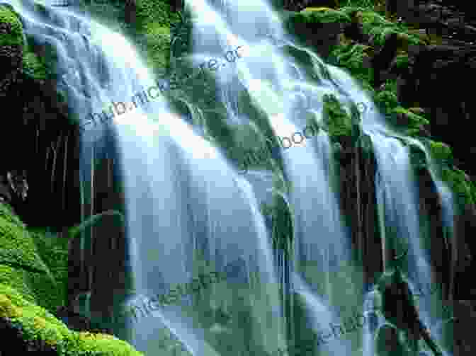 Panoramic View Of Petercave Creek, Showcasing Its Cascading Waterfalls And Lush Greenery Around The Edge Of The World And Up Petercave Creek