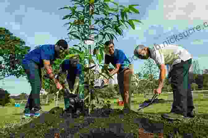 Person Planting A Tree In A Park Manifesto For A Moral Revolution: Practices To Build A Better World