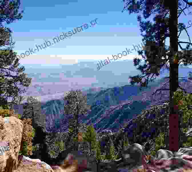 Photograph Of The San Jacinto Mountains The Mountains Of California (With Original Drawings Photographs): Adventure Memoirs And Wilderness Study From The Author Of The Yosemite Our National Gulf Picturesque California Steep Trails