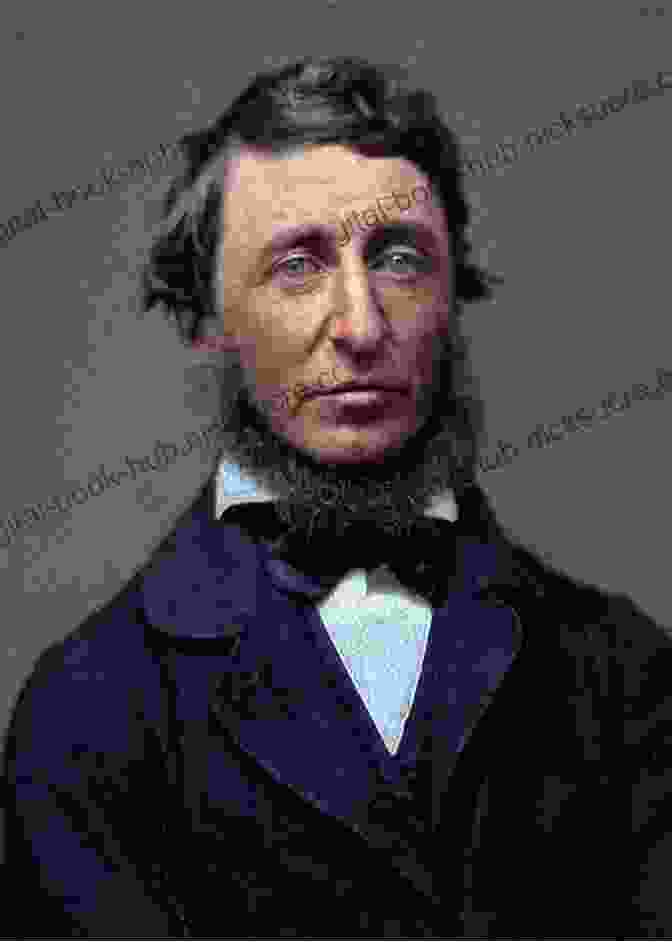 Portrait Of Henry David Thoreau Thoreau S Walden