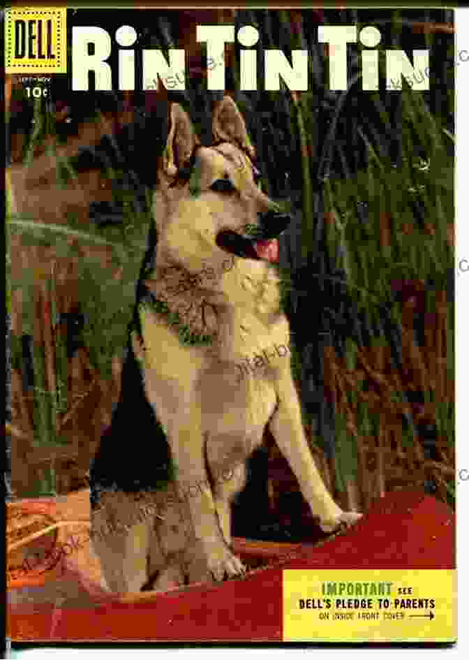 Rin Tin Tin, The Legendary German Shepherd Star Of Hollywood's Early Cinema, Known For His Loyalty And Bravery The Beauty Of The Beasts: Tales Of Hollywood S Wild Animal Stars