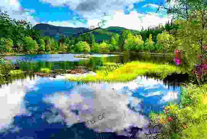 Tranquil Lake Surrounded By Lush Greenery, Reflecting The Serene Blue Sky Above, Conveying A Sense Of Peace And Tranquility SUMMARY AND KEYPOINTS OF DEAF UTOPIA BY NYLE DIMARCO: A Memoir And A Love Letter To A Way Of Life