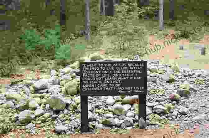 Walden Pond, The Site Of Thoreau's Experiment Thoreau S Walden